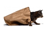 Prepravky a tašky pre mačky