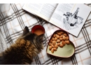Ako si vybrať správne krmivo pre mačky?